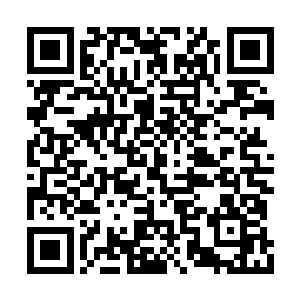 赵虎利用黑暗魔虎洞穴当中获得的黑暗魔核修炼二维码生成