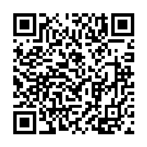 赵虎却可以轻松的重新组建一个千万规模的庞大舰队二维码生成