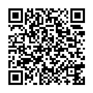 赵虎原本还想将手中剩余的筑基丹全部吞服炼化干净二维码生成