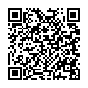 赵虎只知道自己可以通过吞噬金属让金属异能进化二维码生成