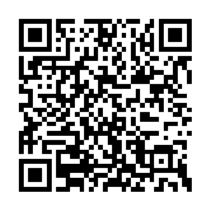 赵虎和九个手下杀入到李氏家族的老巢古堡当中二维码生成