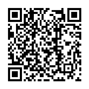 赵虎和顾凯韩明等六名圣阶战士从大丰城当中出来二维码生成