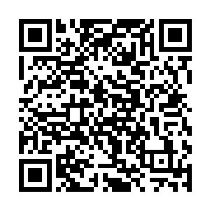 赵虎对于和对方建立合作关系的事情有了很大的把握二维码生成