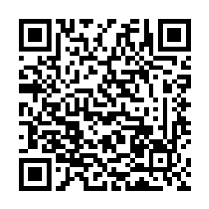 赵虎对于那数十个冒险者的围住万宝楼工作人员的动作二维码生成