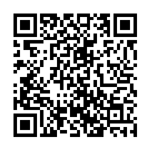 赵虎对着一脸惊叹之色的大牛和一脸平静之色的赵安道二维码生成