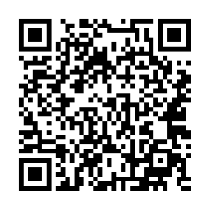 赵虎就将黑虎帮的核心成员全部召集到星空科技总部开会二维码生成