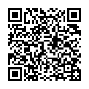 赵虎就开始仔细的查看虚拟屏幕上的数百种娱乐产品了二维码生成