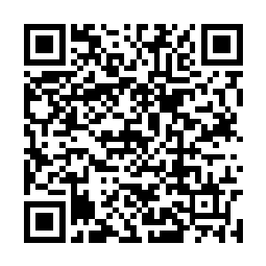 赵虎就开始着手在迪拜城地下建立一个时空传送阵二维码生成