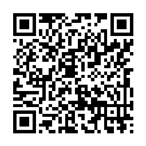 赵虎当然不会在出售兽核这种没有附加值的物品了二维码生成