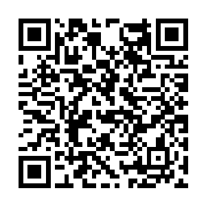 赵虎才知道那个马车数量最庞大的商团是厨师商团二维码生成