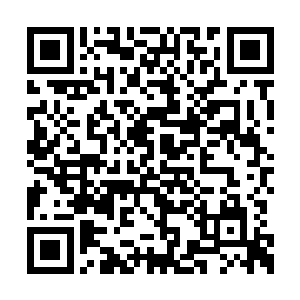 赵虎本来以为来了三个商团就没有其他商团来了二维码生成