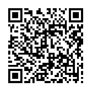 赵虎清晰的察觉到这几个黑焰武士都被人灌了麻药二维码生成