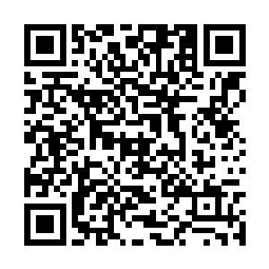 赵虎王小虎刘梦三人纷纷从修炼状态当中清醒过来二维码生成