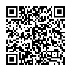 赵虎留下几名先天护卫保护秦阳和十四名城主的安全二维码生成