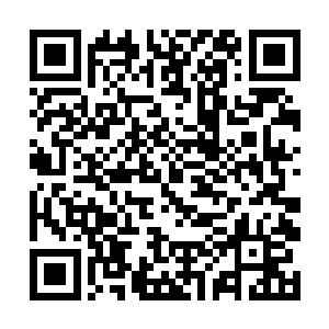 赵虎的修为瞬间从炼气期巅峰之境进入到筑基期之境二维码生成