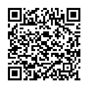 赵虎看着那些在他元气手掌之中挣扎的变异昆虫二维码生成