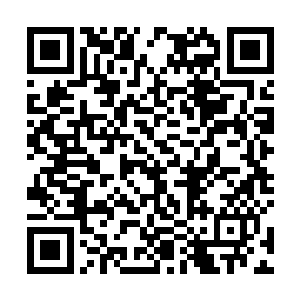 赵虎还在为自己如此轻易就获得了海战胜利而有点发愣二维码生成