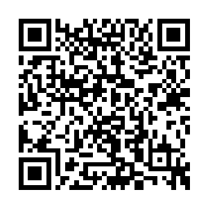 赵虎这个列兵当然也在小队长的命令下翻身上马二维码生成
