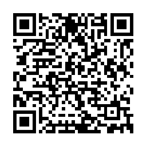 赵长卿刚迈进小院便看到正屋前头多了几丛蔷薇二维码生成