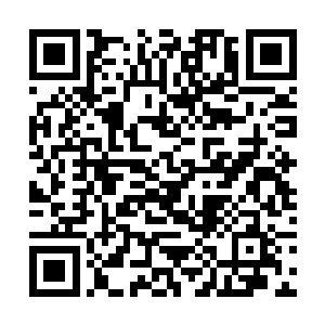 赵长卿自己也没料到苏白几个这么快在朝中发难夏家二维码生成