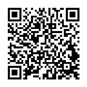 赵长枪一直在奇怪郑欣欣刚才为什么一开始不和自己说话二维码生成