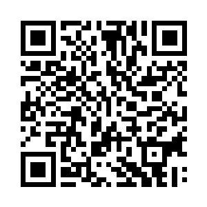 赵长枪和周家辉等人一起乘飞机飞回华国二维码生成