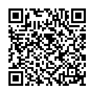 赵长枪和洪亚伦分别从藏身的大树后面闪了出来二维码生成