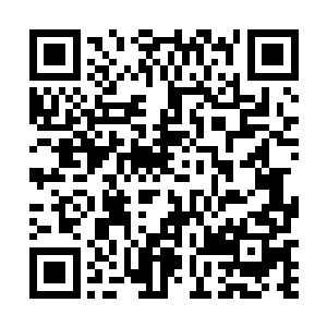 赵长枪在临河市给李朝天当马仔的时候就干的炉火纯青二维码生成