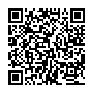 赵长枪在前几天参观德康家族的种兔研发培育基地的时候二维码生成