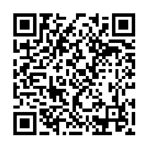 赵长枪当然会将这里的一切环境都做好万全的调查二维码生成