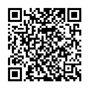 赵长枪很快将准备好的时鲜水果和鸡鸭鱼肉分别放在了爷爷奶奶二维码生成