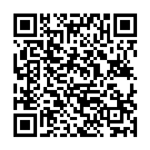 赵长枪的眼光在黑人迎宾小姐的身上挑剔的看了两眼二维码生成