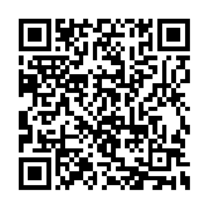 赵长枪看着面前老实巴交甚至有些木讷的赵大同二维码生成