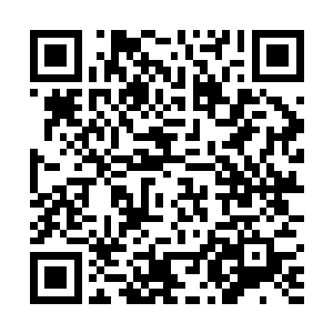 赵长枪竟然无意间看到了小桂花衣服下面白花花的肚皮二维码生成