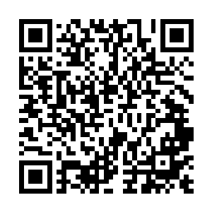 赵长枪裤兜里捏着卫星电话的手感到轻轻的震动了一下二维码生成