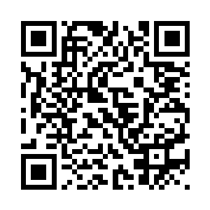 赵长枪迈步走到运猪车的司机身旁二维码生成