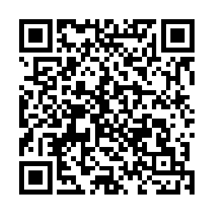 赵阀三支直系战队被以白阀为首的数家联合战队设计围杀二维码生成