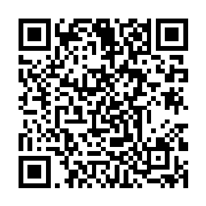 赵顺成校长也带着几个副校长和高一年级的年级主任二维码生成