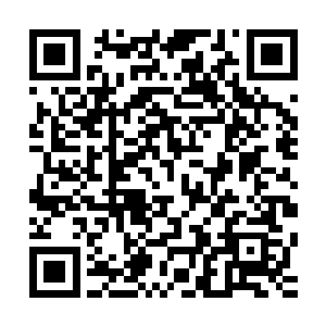 赶了整整一天路的龙傲天还有许德拉终于赶到了这次的目的地二维码生成