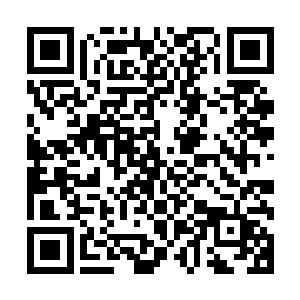 赶到他们身边的陈烨瞥了一眼少女当宝贝似的捧在手心的东西二维码生成
