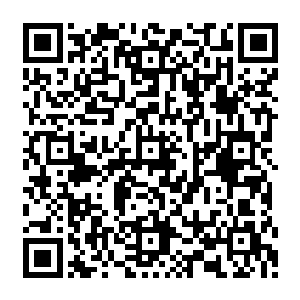 赶到这里来的气海境剑者基本都是来自于大坤剑府和四大剑宗以及散剑盟还有傲月楼的剑者二维码生成