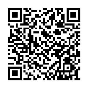 赶紧去把这小子布置在四周的风水器物给我毁掉二维码生成