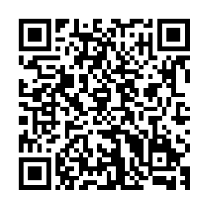 赶紧拉着和我一样愣在原地发呆的陈景皓远离了这一片僵尸区域二维码生成