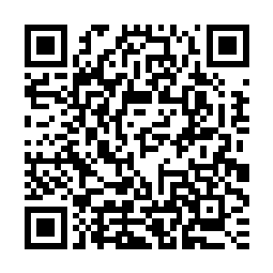 赶紧让几个人把鸡棚里的几只鸡的翅尖以外的羽毛全都给剪掉了二维码生成