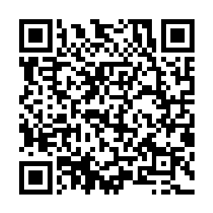 赶紧逃命啊这些最少都是中等鬼兵的蝎子不是我能够抵挡的二维码生成