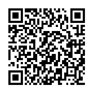 赶过来的几个护卫队长就都知道发生了什么事情二维码生成