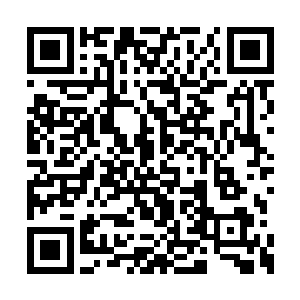 赶过来的金无敌目瞪口呆地望着眼前发生的一切二维码生成