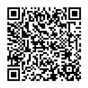 赶鸭子一样的将这些衣衫不整鬼哭狼嚎的的家伙撵出军营沿着河堤跑步二维码生成