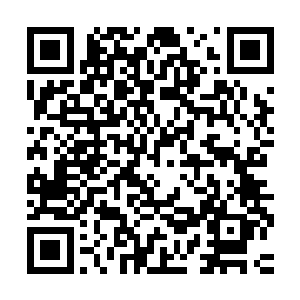起因就是他们四大超级家族要召集各方势力在天巧星聚集引起的二维码生成