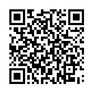 起因虽然是我打击灵兽贩子和整顿吏治二维码生成